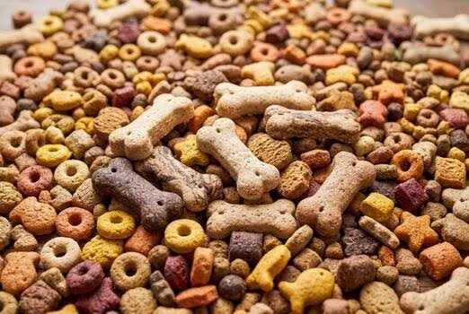 Pet Feed